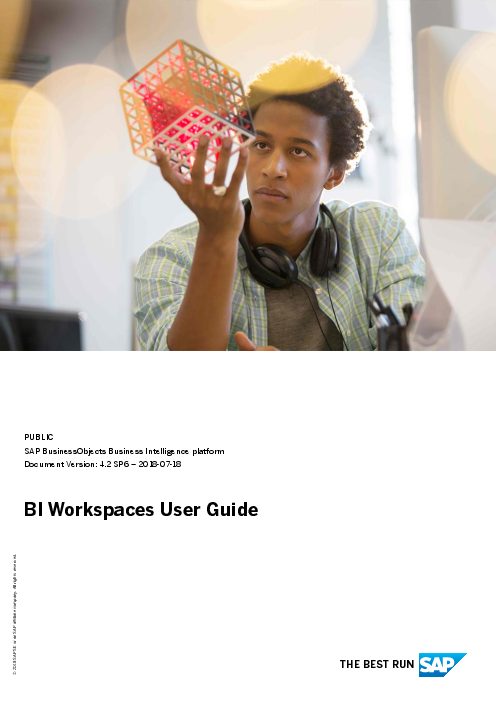 BI Workspaces User Guide (2018).pdf