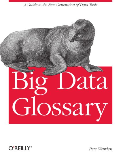 Big Data Glossary (2011) [9781449314590].pdf