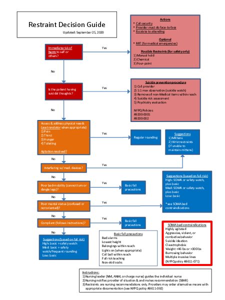 Restraint Evaluation Overview (2020).pdf