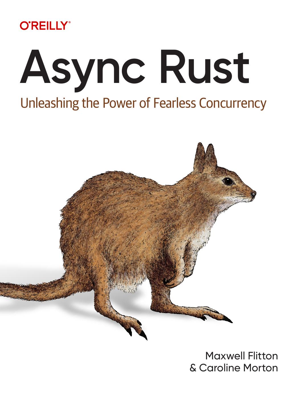 Async Rust.pdf