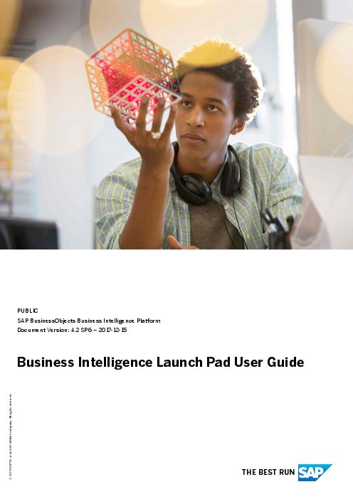 business_intelligence_launch_pad_user_guide__f587d5.pdf