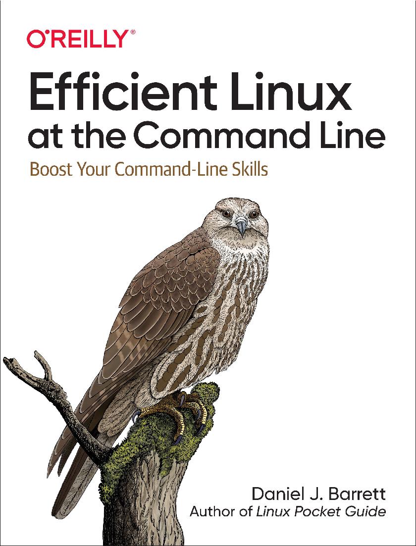 Efficient Linux at the Command Line.pdf